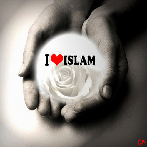 http://gentole.files.wordpress.com/2009/08/love-islam.jpg